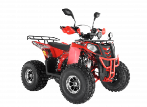 ATV THUNDER EVO 125 Х
