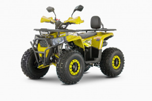 Комплект THUNDER WELS Trail 125 PRO