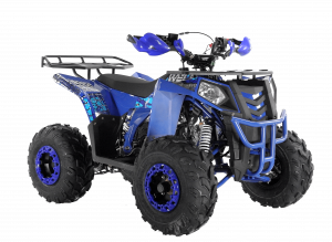 ATV THUNDER EVO 125