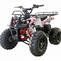 ATV Thunder 125 (ATA 110\135) (2019) ATV Thunder 125 (ATA 110\135) (2019)