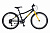 meadow 24 male