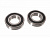 REP-152-MID-19
