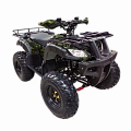 ATV Thunder 150\200 (2019) ATV Thunder 150\200 (2019)