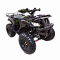ATV Thunder 150\200 (2019)