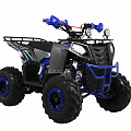 ATV Thunder EVO(X) 125 ATV Thunder EVO(X) 125