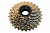 H000008021