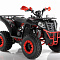 ATV Thunder EVO X 200